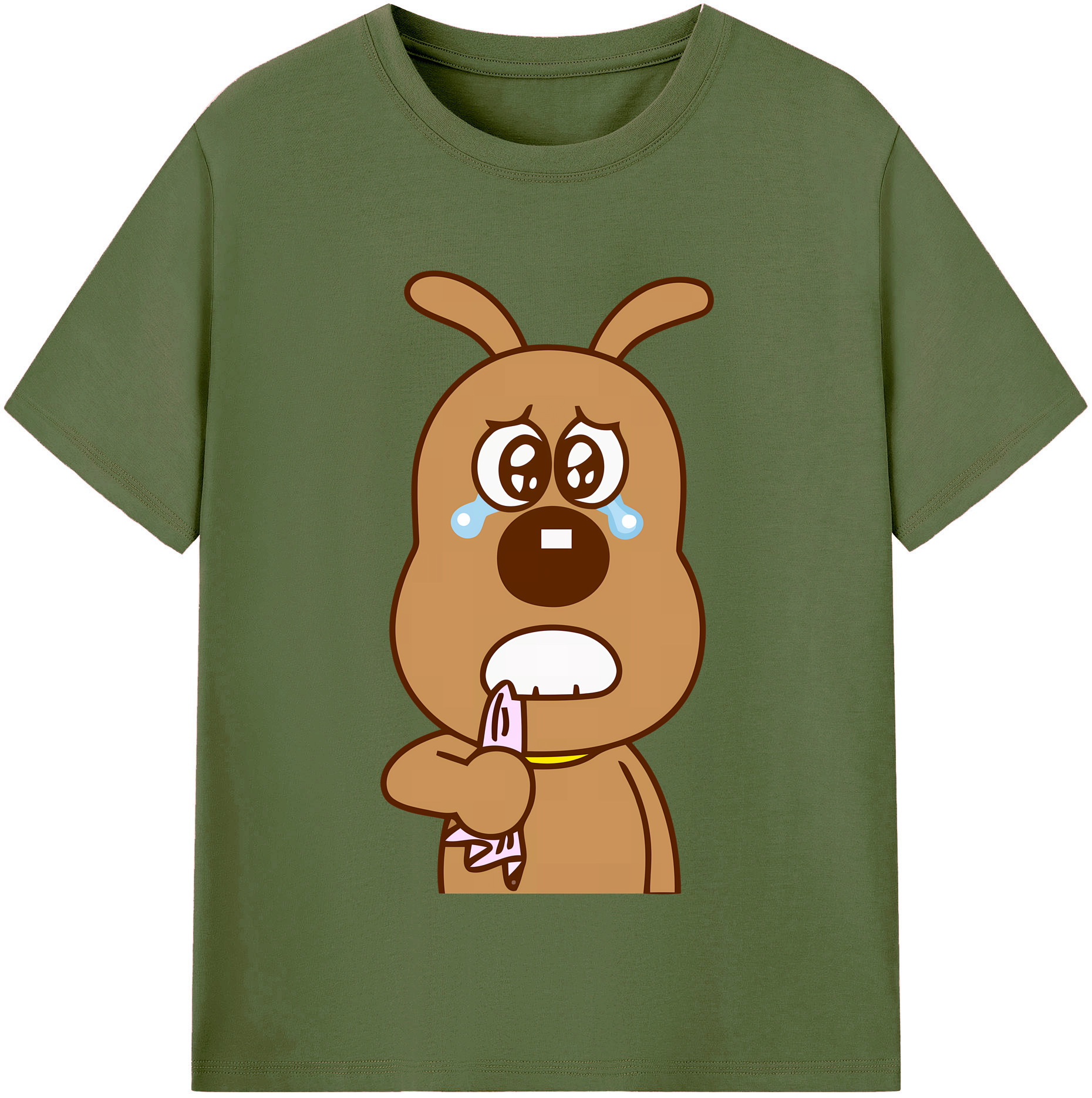 （画像用） アンパンマン Anpanman 綿100％半袖Tシャツ（フロントプリント）